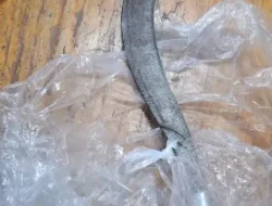 Unit Lantas Cengkareng Tangkap Terduga Pelaku Curas Bersenjata Tajam di Ring Road Rawa Buaya, Satu Terduga Pelaku Diamankan