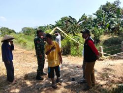 Babinsa Turun Tangan, Dampingi Petani Hadapi Dampak El Nino di Pebayuran