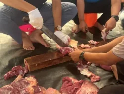Aksi Sosial Iduladha, BRI Komitmen Beri Dampak Nyata untuk Lingkungan Terdekat