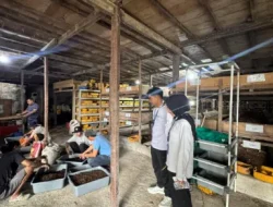 Budidaya Maggot Jadi Sarana Kemandirian dan Bekal Masa Depan Warga Binaan Lapas Makassar