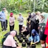 Sulap Pekarangan Jadi Sumber Cuan, UNHAS Latih IRT Bulukumba Budidaya Bawang Merah Pakai Air Kelapa