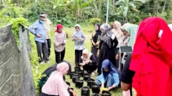 Sulap Pekarangan Jadi Sumber Cuan, UNHAS Latih IRT Bulukumba Budidaya Bawang Merah Pakai Air Kelapa