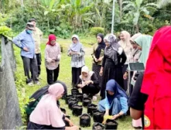 Sulap Pekarangan Jadi Sumber Cuan, UNHAS Latih IRT Bulukumba Budidaya Bawang Merah Pakai Air Kelapa