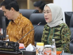 Ketua Komisi VI DPR Dorong Pemerintah Regulasi OTT: Ini Masalah Merah Putih!