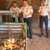Lapas Makassar Perkuat Pembinaan Kemandirian Melalui Chick In 306 Ekor Bibit Ayam DOC